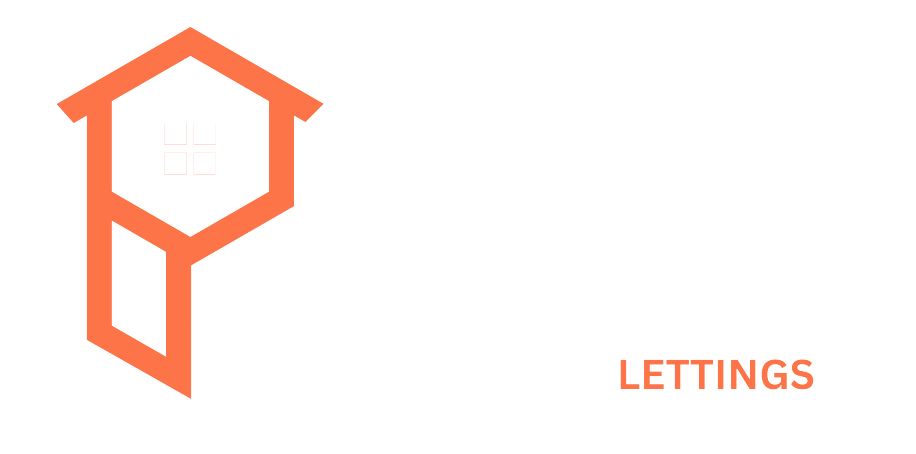 Prime Bricks